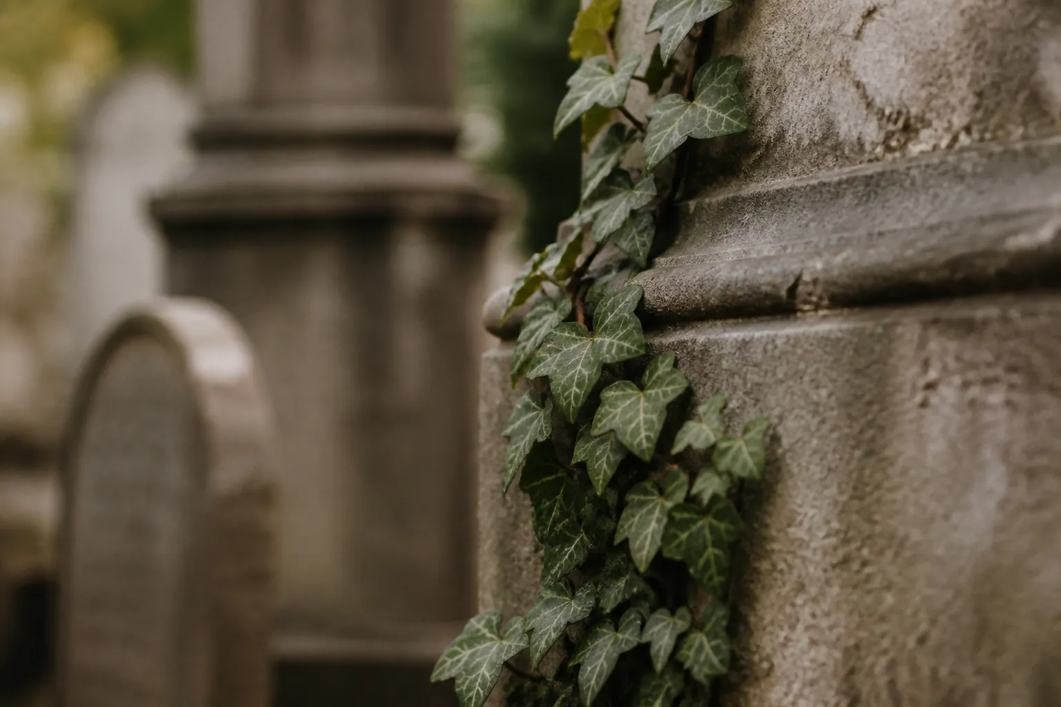 Allée du cimetière communal d'Épinay-sur-Seine menant au carré musulman