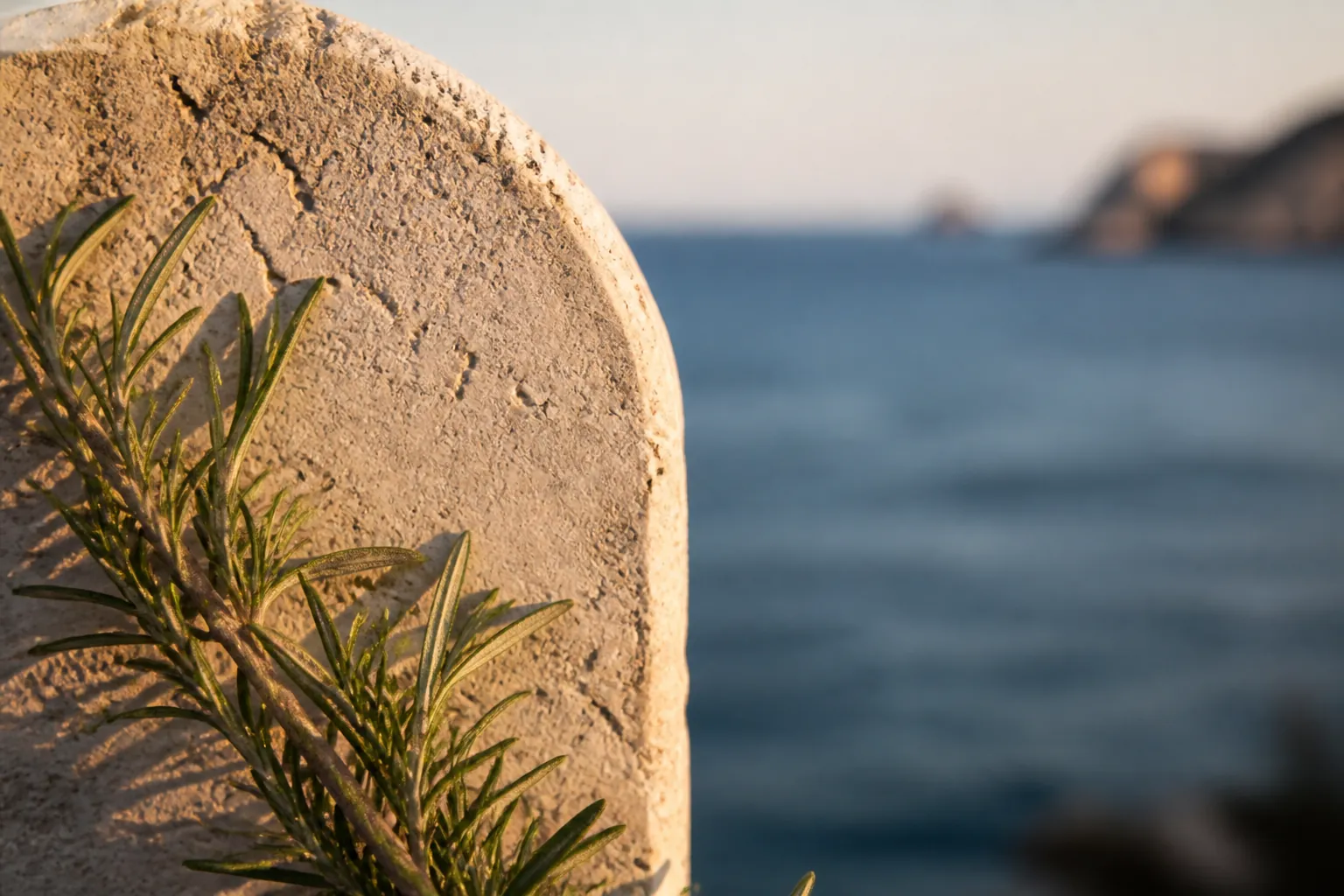 Vue du cimetière Saint-Pierre à Marseille avec le carré musulman