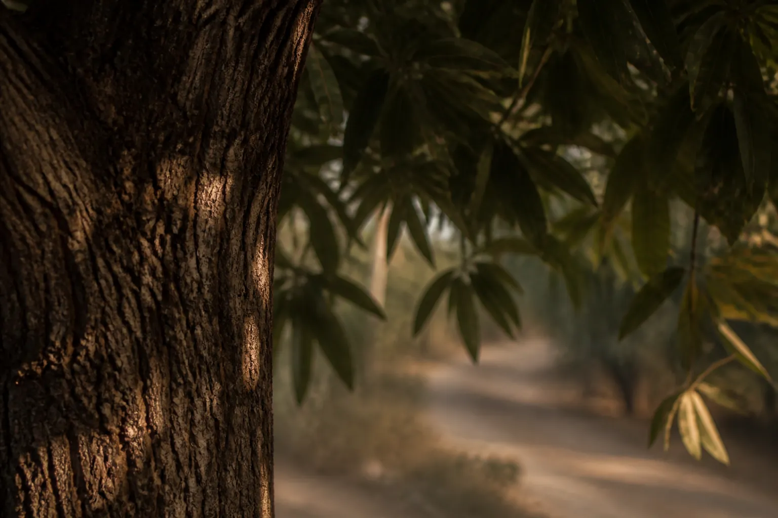 Piste entre Conakry et Kankan en Guinée